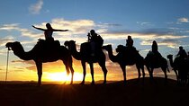 Sunset Camel Ride and Dinner in Agafay Desert