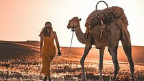 Shared Day Trip To Atlas Mountains, Three Valleys, And Camel Ride 