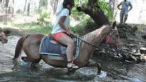Kusadasi Horse Safari