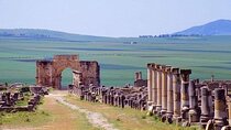 One day trip to Volubilis and meknes from Fes