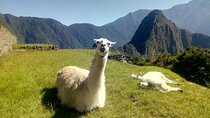 Short Inca Trail Hike, Sacred Valley, with Rainbow Mountain