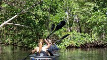 Clear Kayak Tour in North Miami Beach - Mangrove Tunnels
