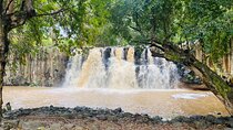 All Inclusive Full Day Tour: Chamarel Rhumrie,7-Coloured & Lunch