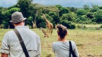 Private Day Trip to Arusha National Park with a Walking Safari