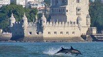 Meet the Lisbon Dolphins - Dolphin Watching in Lisbon