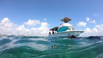 Snorkel in the beautiful reef of Puerto Morelos with transport