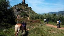 2 hour horseback ride for experts in Valgraziosa (Pisa)