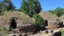 Full-Day Private Tour in Etruscan City of Cerveteri