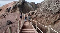 Day trip from Rome to Pompei Mt Vesuvius & Local Guide included