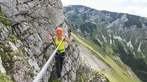 Via Ferrata experience in Vienna - Beginner level