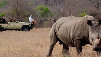 Victoria Falls Rhino Encounter Game Drive!