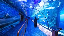 Dubai Aquarium and Underwater Zoo Admission Ticket with Options
