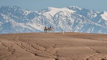Marrakesh: High Atlas, Agafay desert and Waterfalls Tour