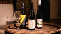 Viennese Wine Tasting in a Private Hidden Wine Cellar