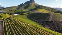 Cape Winelands Tour
