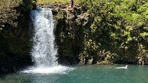 Rainforest Tour to Hana and Beyond