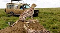 3 Days Safari Serengeti NP and Ngorongoro Crater