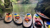 Stand-up-Paddle tour in Paiva river