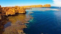 Ras Mohamed Half-Day By Bus from Sharm el-Sheikh