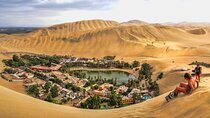 Guided Tour to the Museum of Ica, huacachina, buggy and sandboarding