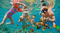 Giftun Island Snorkeling Trip from Hurghada