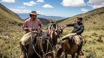 Horseback Riding in the Andes, gaucho experience & BBQ