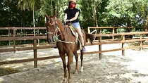 HAVE FUN in the JUNGLE PARK with horseback riding, ATV, zip lines and cenote