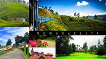Kandy to Nuwara Eliya Day Trip – Little England & Tea Country