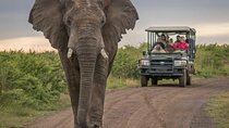 5 Day Garden Route and Addo Safari - Best of South Africa Small Group Tour