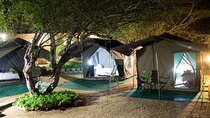 4 day Private Kruger Under Canvas Safari