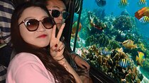 Semi Submarine (Sea Trip) 2 Hours With Transfer - Sharm El Sheikh