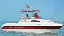 Dubai Private Boat Charter with Optional World Islands Upgrade