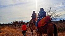 From Marrakech: Atlas Mountains Full-Day Hiking Trip & Three Valleys with camel