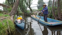The City Green Exploring the Urban Eco Reserve of Xochimilco