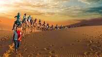 Marrakech to Fez via Merzouga 3-Days Desert Tour - Morocco Sahara Tour
