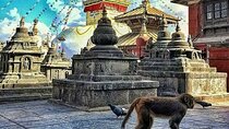 Sightseeing: Kathmandu City Day Tour (4 UNESCO heritages)