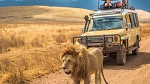 7 Days Private Tanzania Safari 