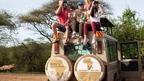 Common 5 Days Tanzania Serengeti Big 5 Private Safari | BURIGI CHATO SAFARIS 