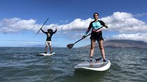 Stand Up Paddleboarding Lessons