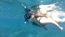 5 Hours Bali Blue Lagoon Snorkeling Tour Including Tanjung Jepun