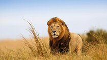 Private 8 Days Safari Tour in Tanzania
