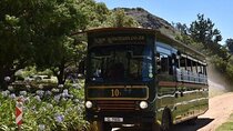  Franschhoek Wine Tram Hop-On Hop-Off Tour from Cape Town.