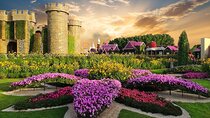 Dubai Miracle Garden and Butter Fly Garden Private Tour