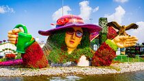 Miracle Garden Dubai Tour with Pickup And Drop off From Abu Dhabi
