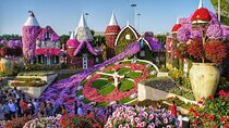 Dubai Miracle Garden Ticket with Transfer