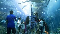 Aquarium and Underwater with Penguin Cove Zoo Dubai Mall 
