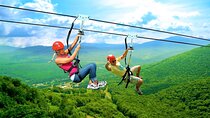 Zip Line Adventure or Zipline (Canopy) in Punta Cana