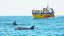 Dreamer Cave and Dolphins Boat Tour Ticket Albufeira