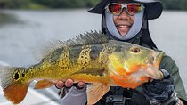 Private Fishing in the Panama Canal, Gatun Lake