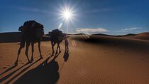 7 Days Sahara Desert Wonders Trek from Marrakech to M'Hamid